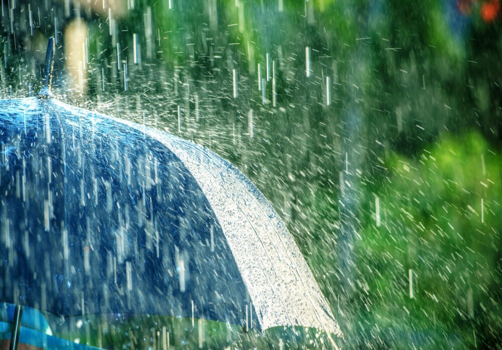 rain on umbrella