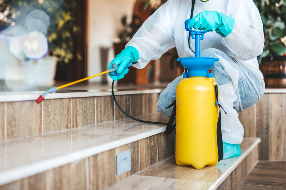 extermination in house